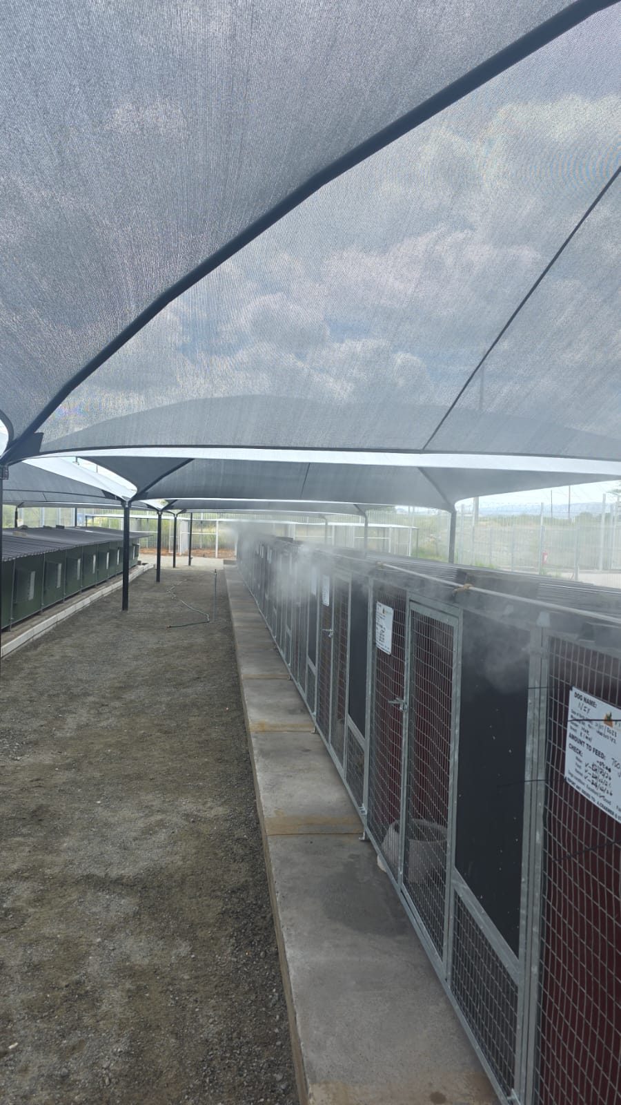 Animal Cooling System