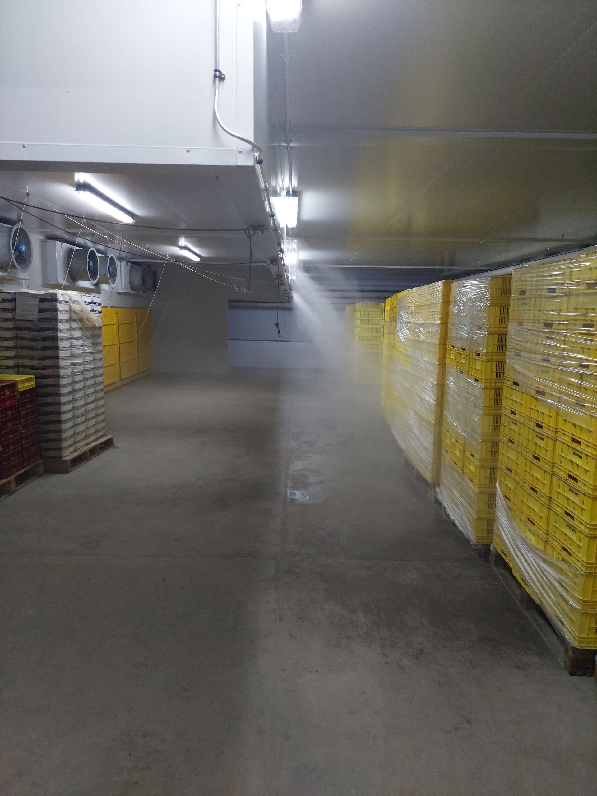Fruit Packing Cold Room