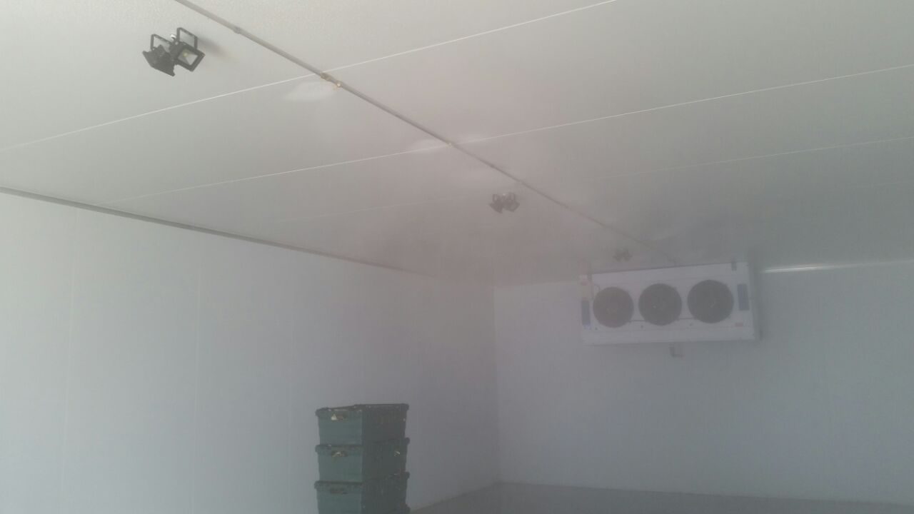 Cold Room Humidity Control