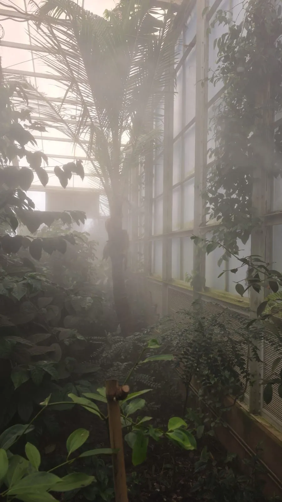 Greenhouse