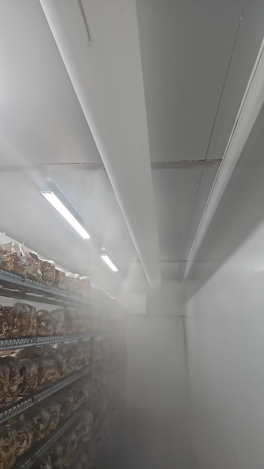 Mushroom Farm Humidity Control