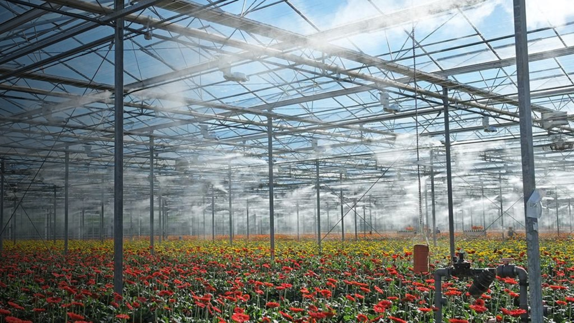 Humidity control fogging system greenhouse South Africa
