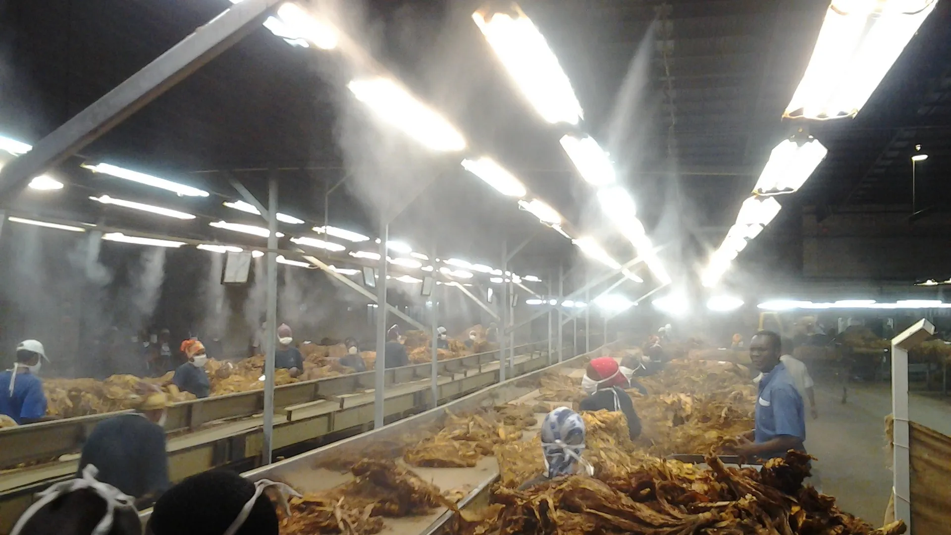 Tobacco storage humidification fogging system South Africa